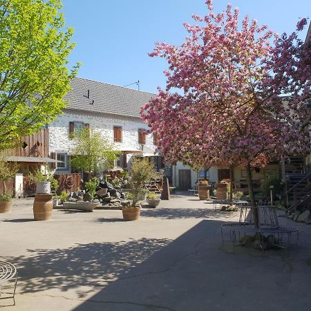 Besondere Ferienwohnung Spirit Auf Idyllischem Reiterhof Nahe Burg Eltz Münstermaifeld Εξωτερικό φωτογραφία