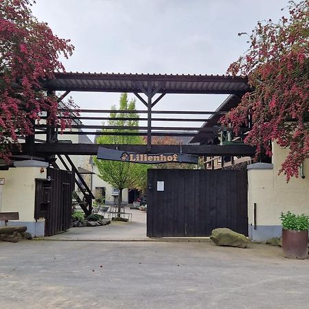 Besondere Ferienwohnung Spirit Auf Idyllischem Reiterhof Nahe Burg Eltz Münstermaifeld Εξωτερικό φωτογραφία