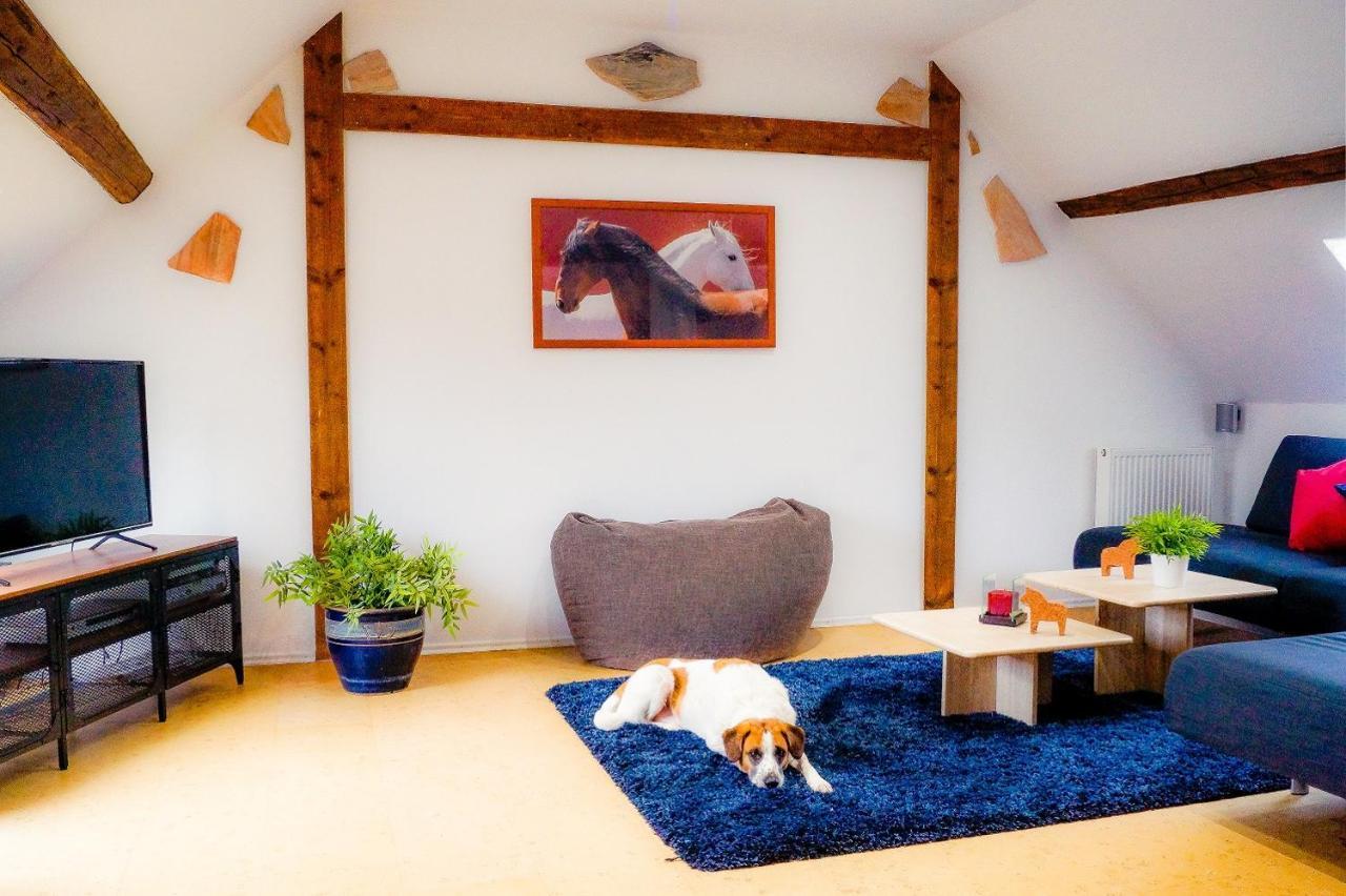Besondere Ferienwohnung Spirit Auf Idyllischem Reiterhof Nahe Burg Eltz Münstermaifeld Εξωτερικό φωτογραφία