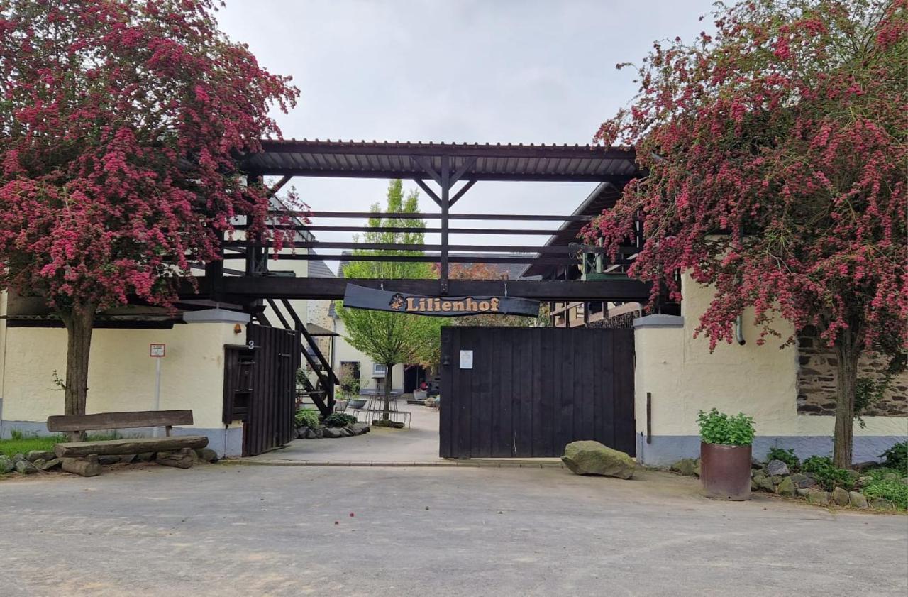 Besondere Ferienwohnung Spirit Auf Idyllischem Reiterhof Nahe Burg Eltz Münstermaifeld Εξωτερικό φωτογραφία
